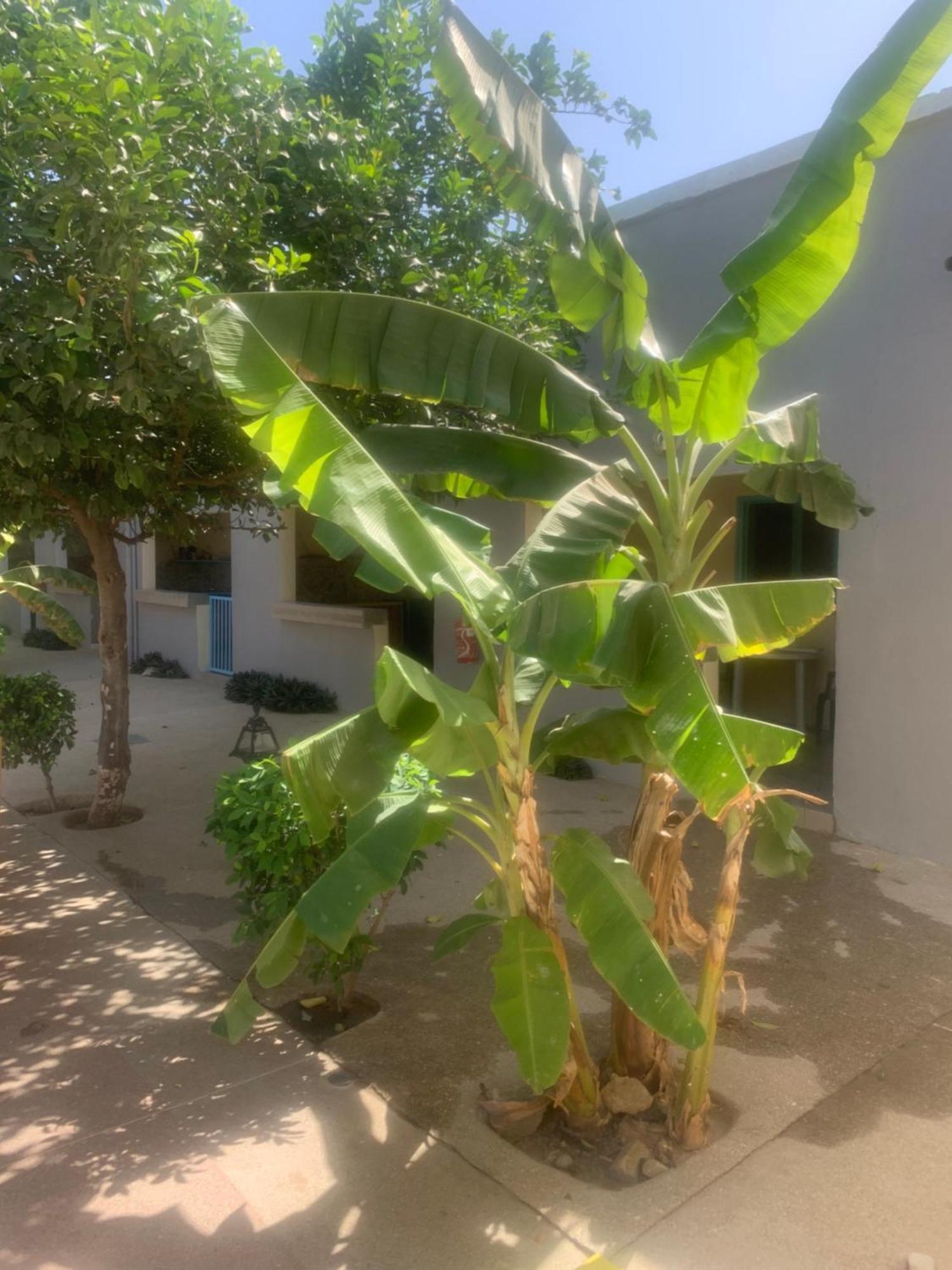 Auberge Keur Ely Ouoran Экстерьер фото